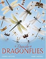 A Dazzle of Dragonflies