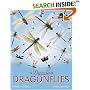 A Dazzle of Dragonflies