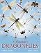 A Dazzle of Dragonflies
