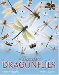 A Dazzle of Dragonflies