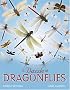 A Dazzle of Dragonflies