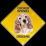 Cocker Spaniel -- Full Color 16