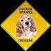 cocker spaniel - Cocker Spaniel -- Full Color 16