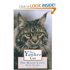 That Yankee Cat: The Maine Coon