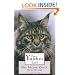 That Yankee Cat: The Maine Coon