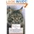 That Yankee Cat: The Maine Coon