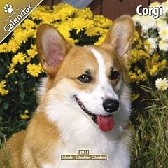 Kalender 2011 Welsh Corgi Pembroke und Cardigan