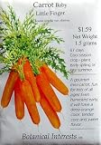 Carrot Baby Little Fingers Heirloom Seeds 400 Seeds