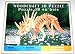WoodCraft Wooden 3D Dinosaur Puzzle, Looks Like a Styracosaurus (1 Each)