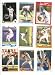 Nolan Ryan Texas Rangers Baseball Card Collector's Lot