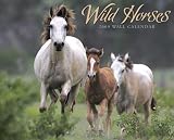 Wild Horses 2009 Calendar