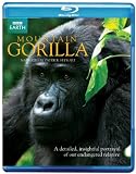 Mountain Gorilla