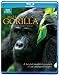 Mountain Gorilla