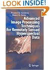 Advanced Image Processing Techniques for Remotely Sensed Hyperspectral Data