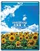 virtual trip �k�C���E�� [Blu-ray]
