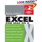 Click here to buy Excel X for Mac OS X: Visual QuickStart Guide by Maria Langer.