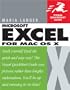 Excel X for Mac OS X: Visual QuickStart Guide