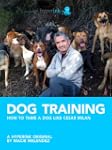 Dog Training: How to Tame a Dog Like...