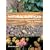 Natural Surfaces: Visual Research for Artists, Architects, and Designers