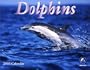 Dolphins 2003 Calendar
