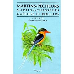 Martins pecheurs guepiers