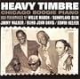 Heavy Timbre - Chicago Boogie Piano