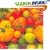 The Heirloom Tomato Cookbook