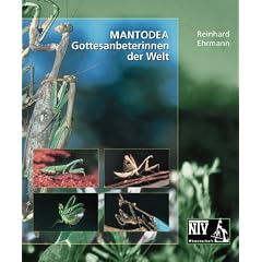 Mantodea - Gottesanbeterinnen der Welt