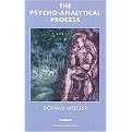 The Psycho-Analytical Process (Harris Meltzer Trust) (Reprint) (Paperback)