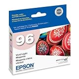 Epson T096620 Stylus Photo R2880 Printer UltraChrome K3 Ink Cartridge (Vivid Light Magenta)