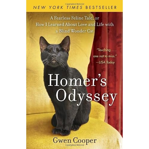 51PYGGaOSxL. SS500  Lets talk non kitschy gift ideas for cat lovers