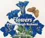 Flowers 2013 Calendar (Taschen Tear-off Calendars)