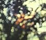 Obscured By Clouds (Discovery Edition)