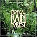 Nature's Relaxing Sounds: Tropical Rain Forest