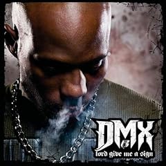 dmx the heat is on