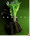 Scents (Chic Simple) (Chic Simple Components)