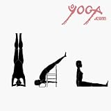 B.K.S. Iyengar 75th Birthday Teachings - Question and Answer Session 2, Vol 12: Format-VHS