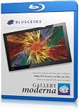 BluScenes: Gallery Moderna 1080p HD Blu-ray Disc