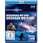 Discovery HD: Jeff Corwin - Begegnung mit dem gro�en Wei�en Hai [Blu-ray]