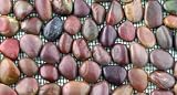 Agate Pebbles & Stones Brown Anatolia Pebble Tiles Polished Natural Stone Tile - 13979