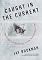 Caught in the Current: Searching for Simplicity in the Technological Age