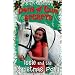 Pony books & horse books for girls 7 to 12 who love ponies!