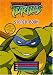 Teenage Mutant Ninja Turtles Stencil Book (Teenage Mutant Ninja Turtles)