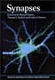 Synapses
