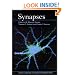 Synapses