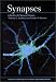 Book Synapses