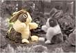 Plush Dutch Rabbit Puppet 10" [Toy]