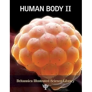 Human Body II - Michael Levy 