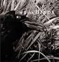 Jim Dine: Birds