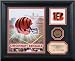 bengal49 - Cincinatti Bengals Nfl Team Pride Photo Mint
